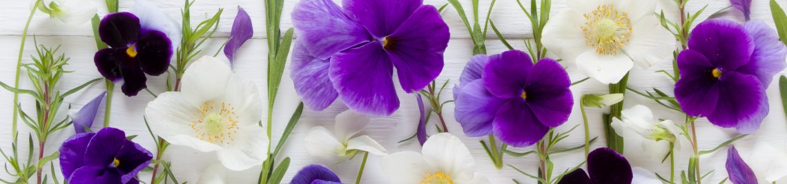 By Viktoriia Muzurova shop Profile Banner