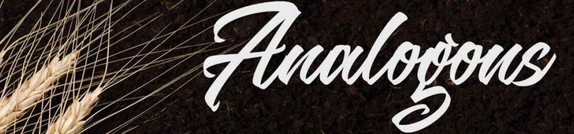 Analogous Profile Banner