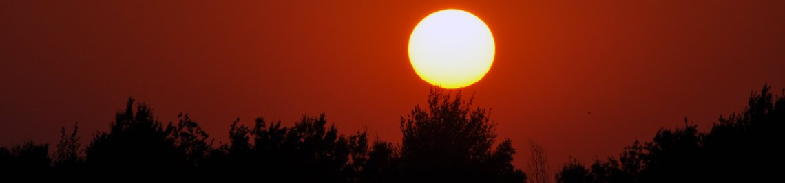August Sun Fire Profile Banner