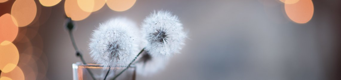 Denari Profile Banner