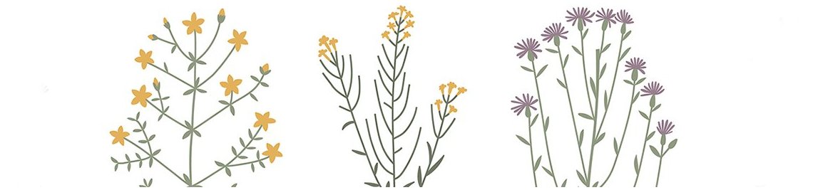 Miraniuk Olga Profile Banner