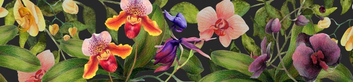 FinickArt Profile Banner