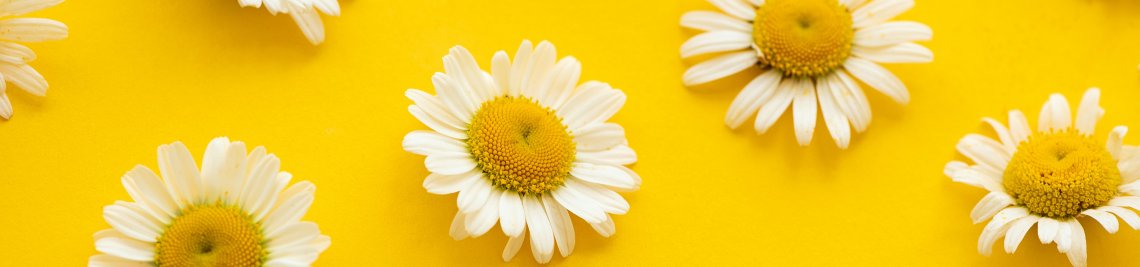 ThayraStore Profile Banner