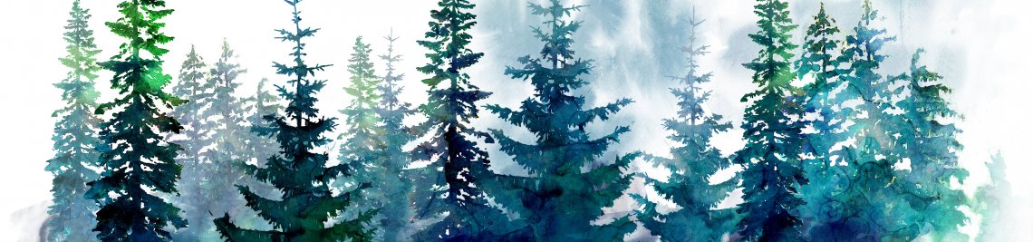 nikola Profile Banner
