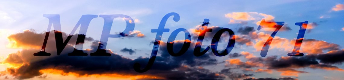MPfoto71 Profile Banner