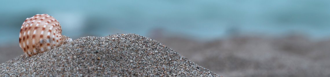 Irfan M Nur Profile Banner