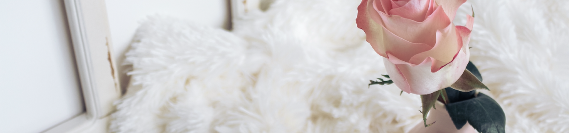 TypeFairy Profile Banner