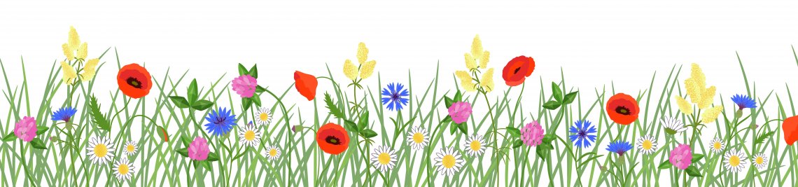 N Zhy Profile Banner