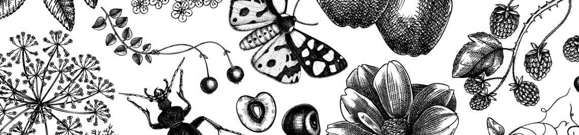Yevheniia Profile Banner