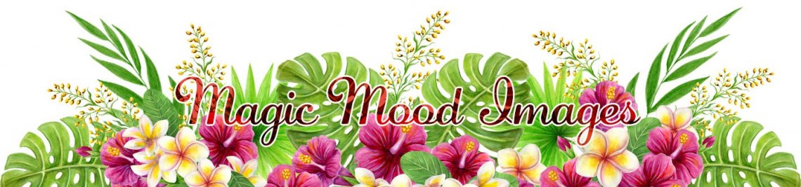 MagicMoodImages Profile Banner