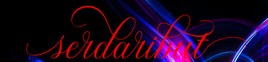 Serdaribut Studio Profile Banner