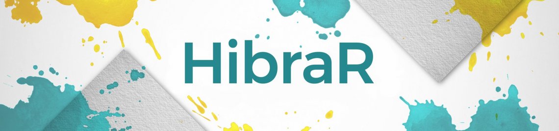 HibraR Profile Banner