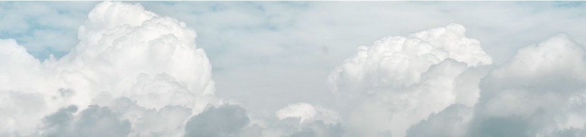 Viola's store Profile Banner