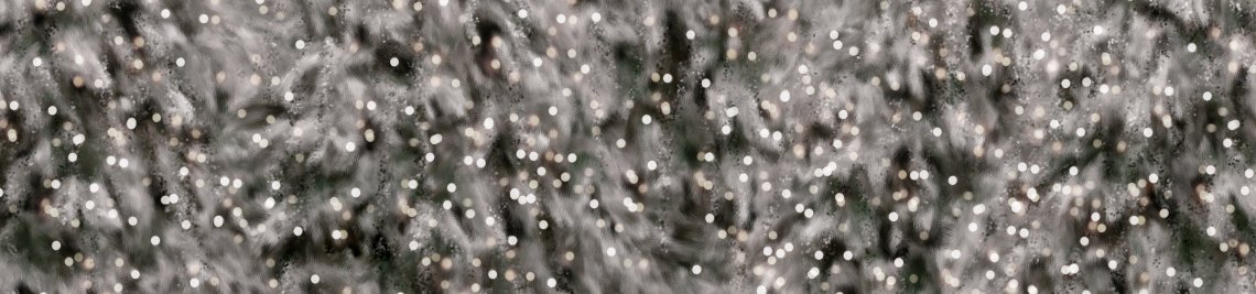 Kimla Designs Photography Profile Banner