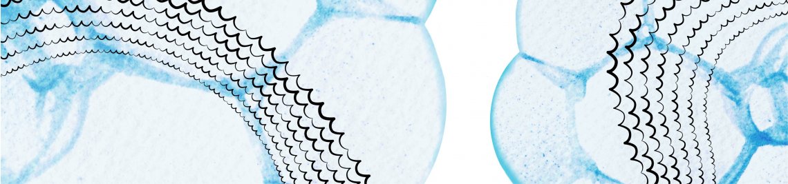 GraphicMarina Profile Banner