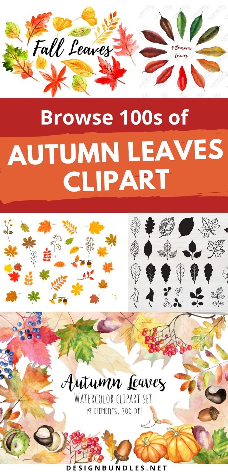 Autumn Leaves Clipart