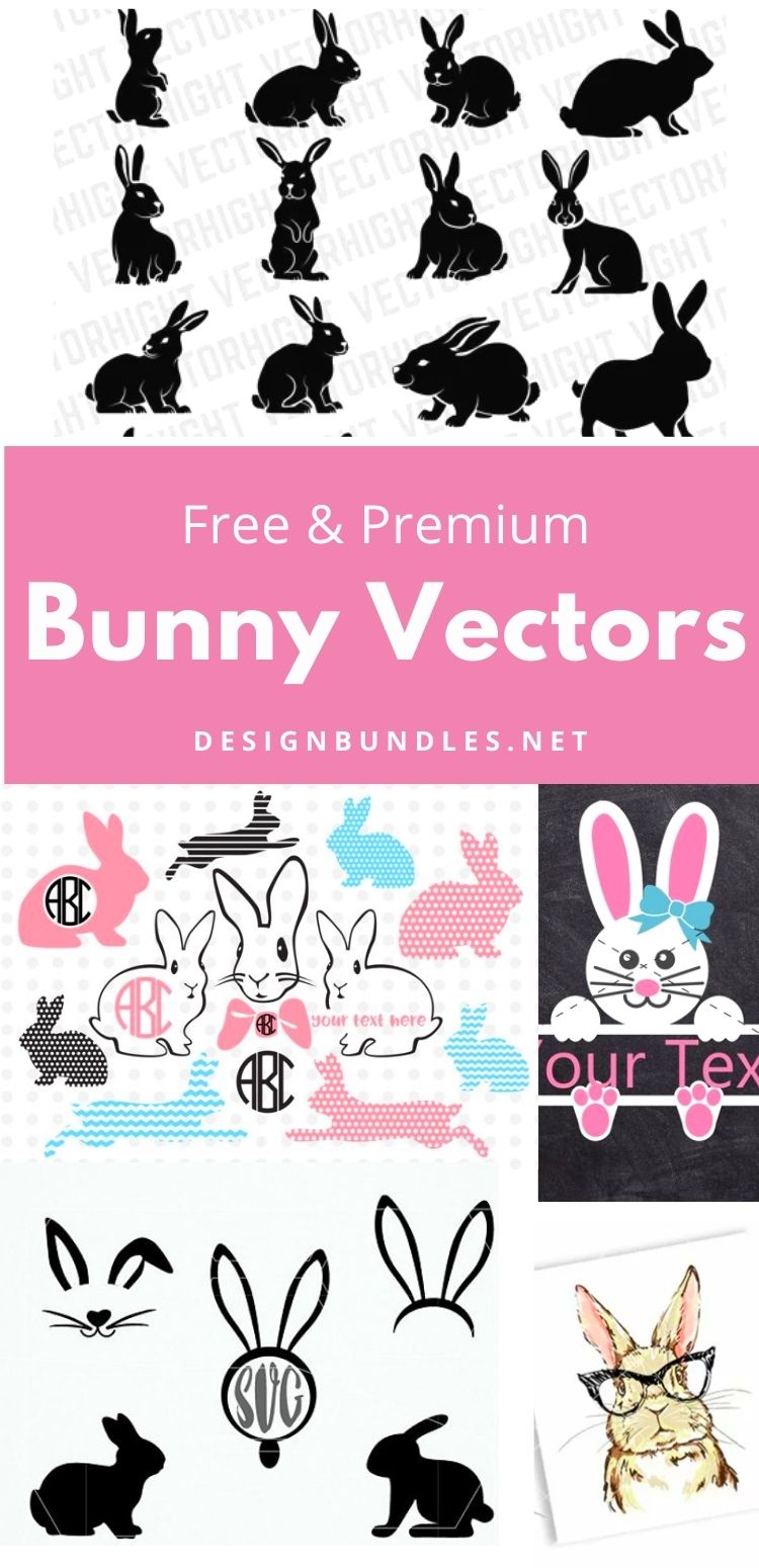 Bunny Vectors