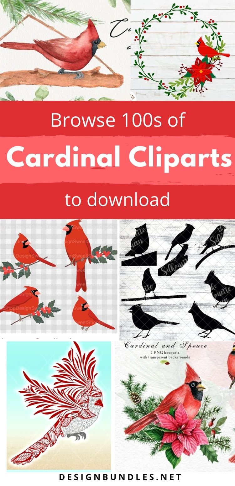 Cardinal Clipart
