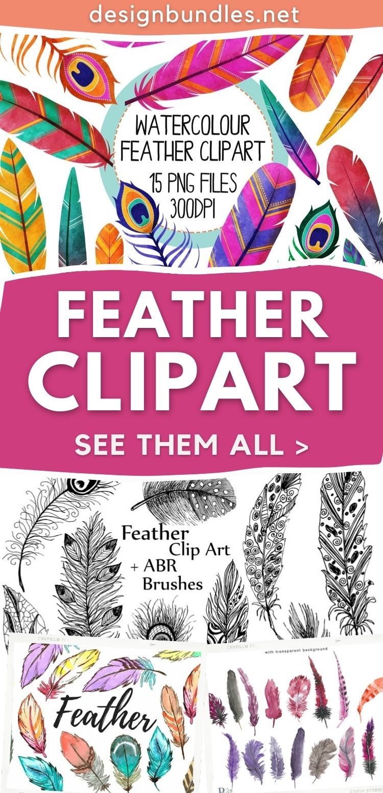 Feather Clipart