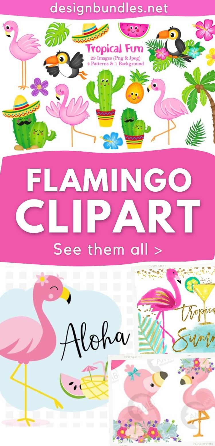Flamingo Clipart