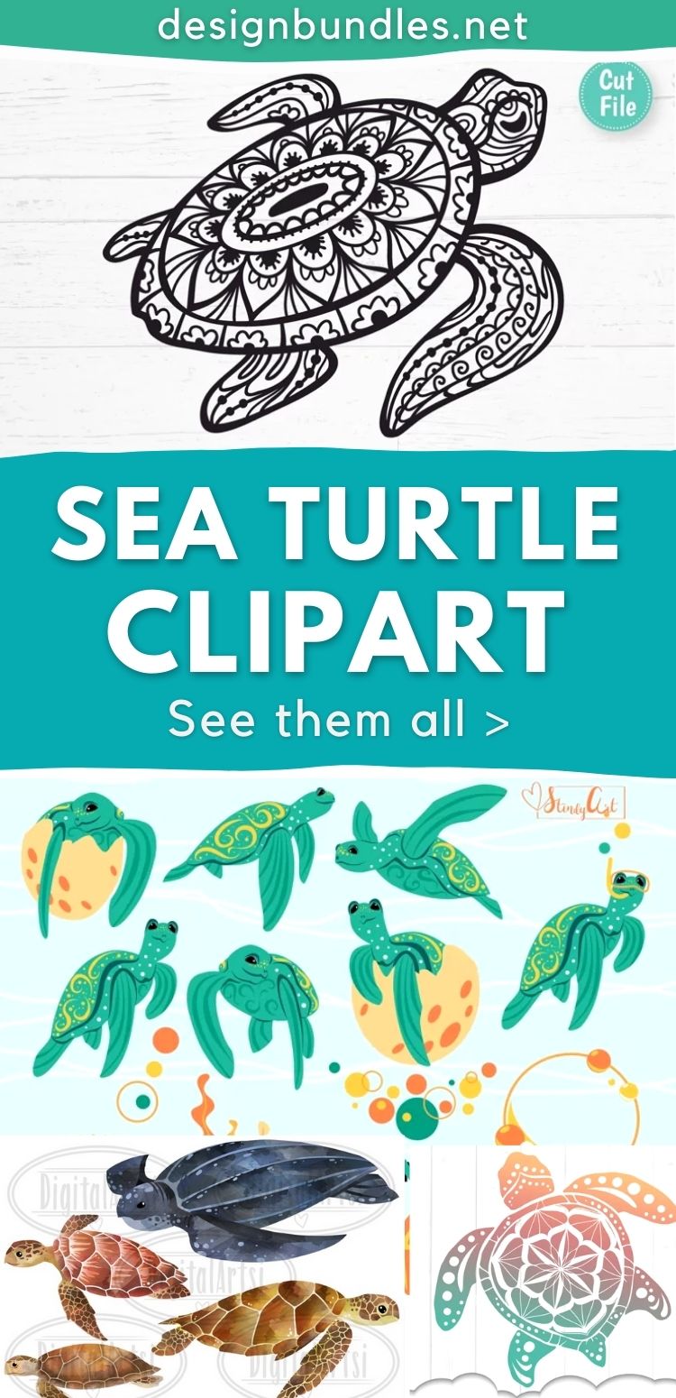 Sea Turtle Clipart